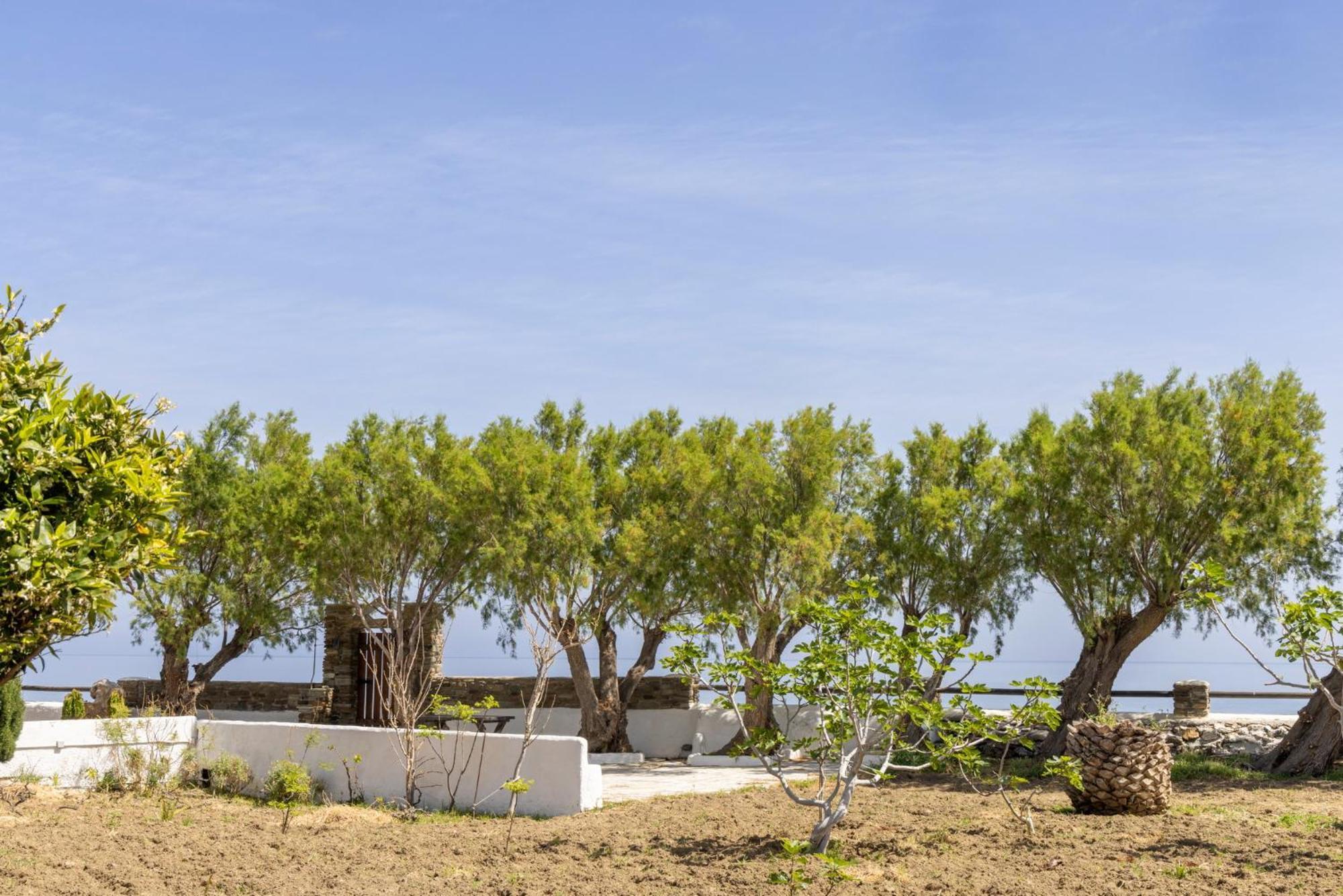 Unforgettable Tinos Beach Houses Complex Agios Ioannis  Camera foto